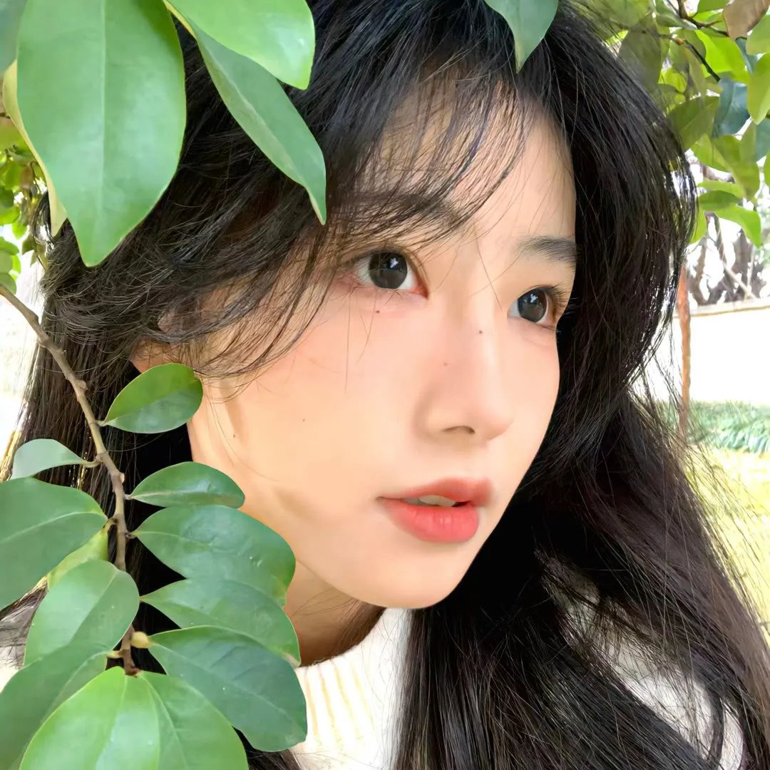 树上的父亲
